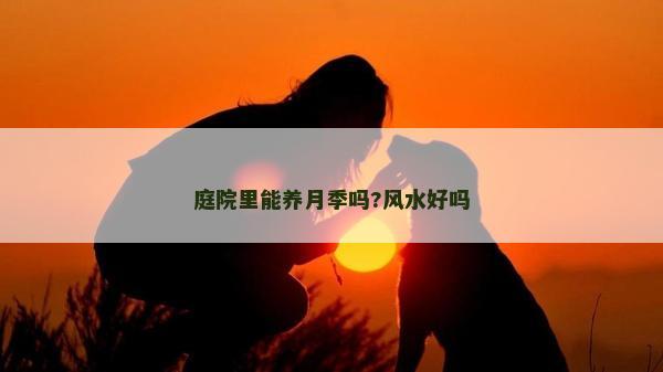 庭院里能养月季吗?风水好吗
