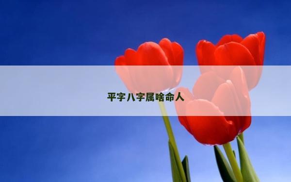 平字八字属啥命人