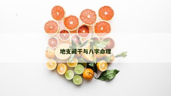 地支藏干与八字命理