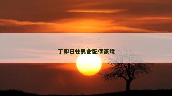 丁卯日柱男命配偶家境