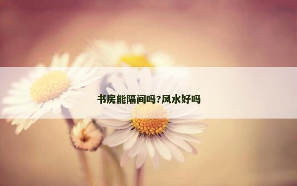 书房能隔间吗?风水好吗