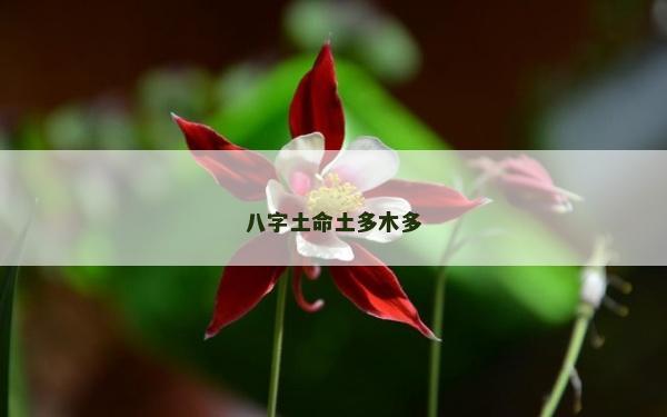 八字土命土多木多