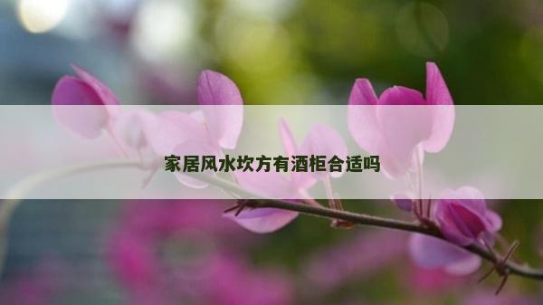 家居风水坎方有酒柜合适吗
