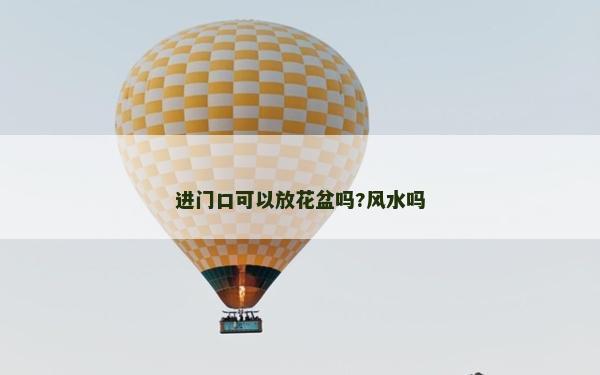 进门口可以放花盆吗?风水吗