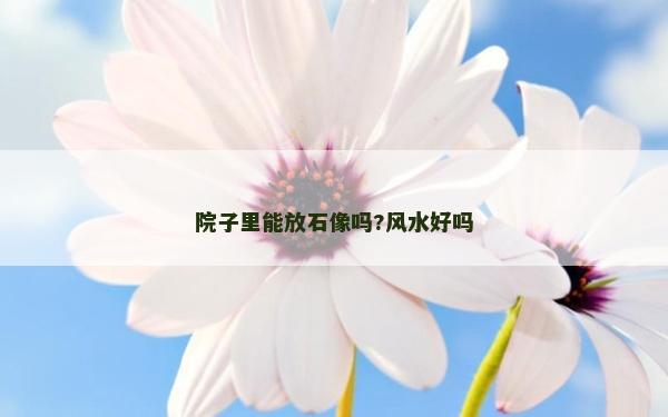 院子里能放石像吗?风水好吗