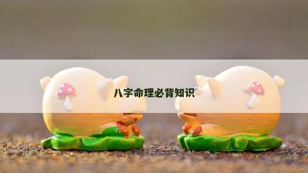 八字命理必背知识