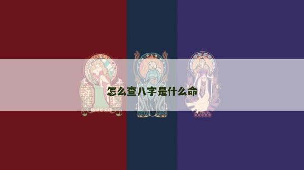怎么查八字是什么命