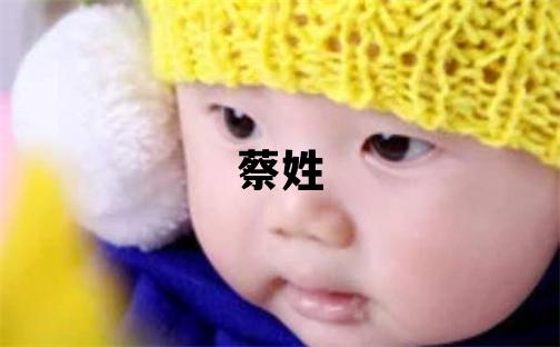 蔡姓有智慧才气的男孩名字,取什么名字好