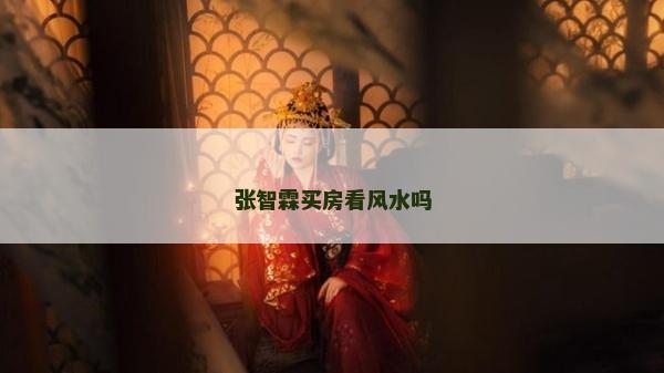 张智霖买房看风水吗