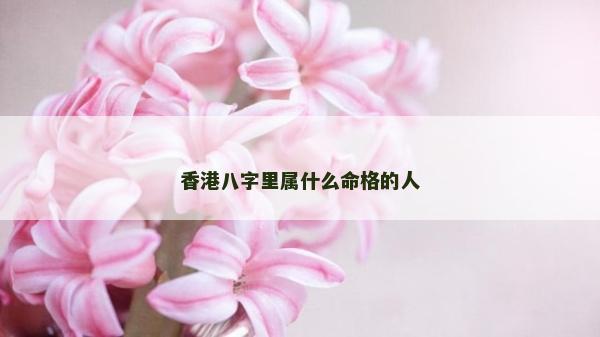 香港八字里属什么命格的人