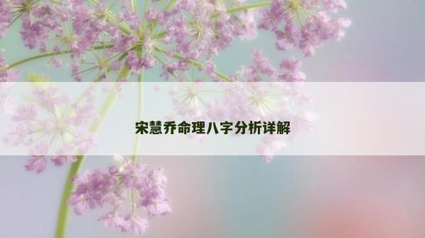 宋慧乔命理八字分析详解