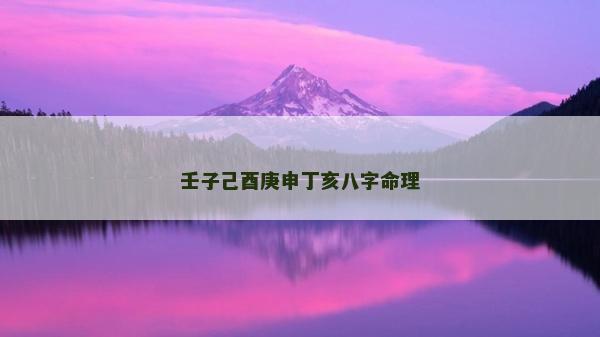 壬子己酉庚申丁亥八字命理