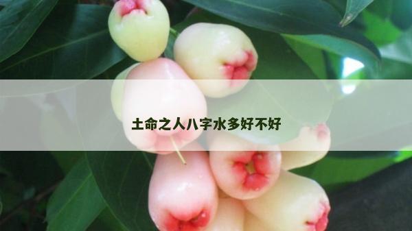 土命之人八字水多好不好