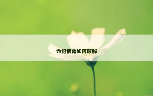 命犯狼藉如何破解