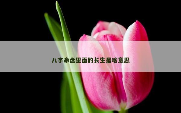 八字命盘里面的长生是啥意思