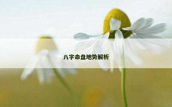 八字命盘地势解析