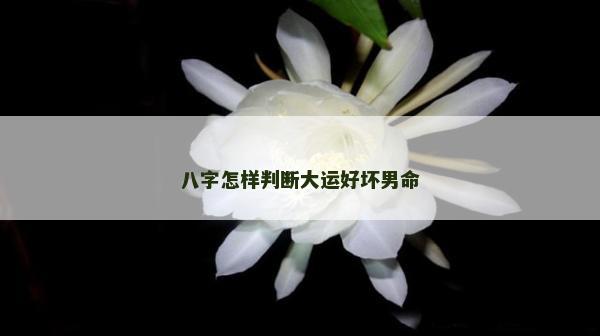 八字怎样判断大运好坏男命