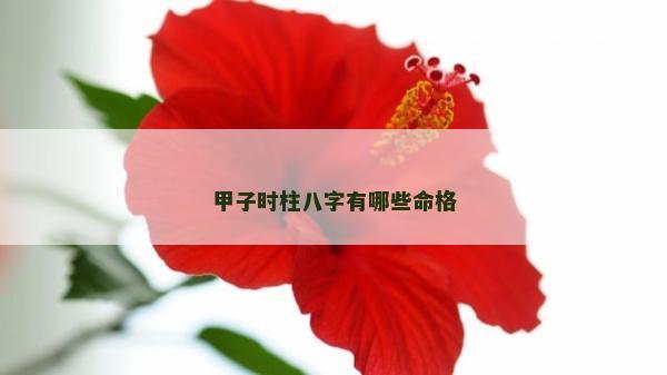 甲子时柱八字有哪些命格