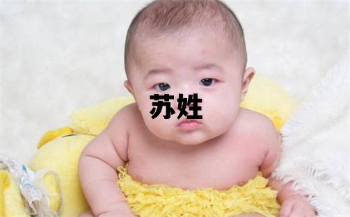 苏姓取名有诗意的男宝宝名字