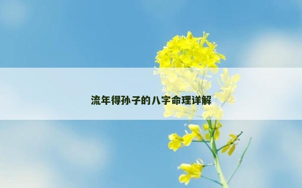 流年得孙子的八字命理详解