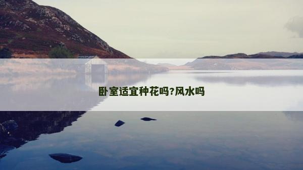 卧室适宜种花吗?风水吗