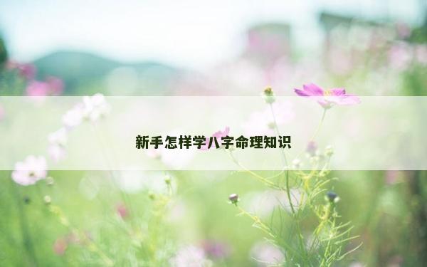 新手怎样学八字命理知识