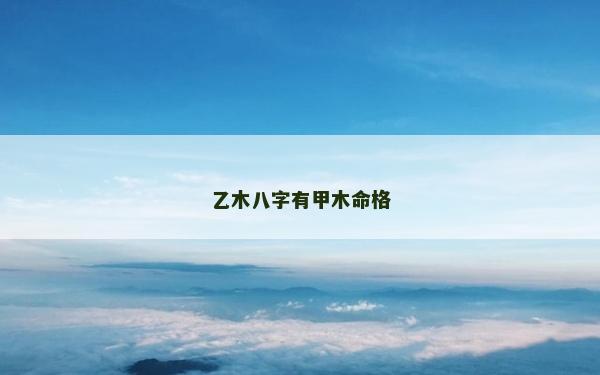 乙木八字有甲木命格