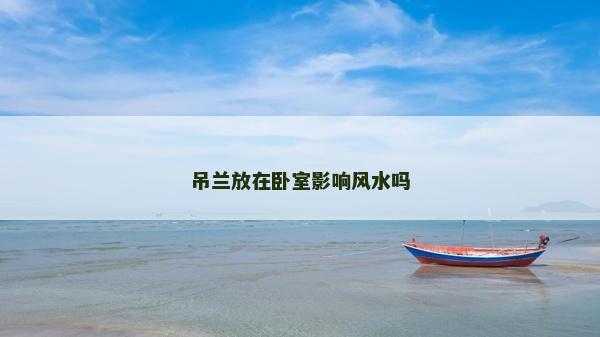 吊兰放在卧室影响风水吗