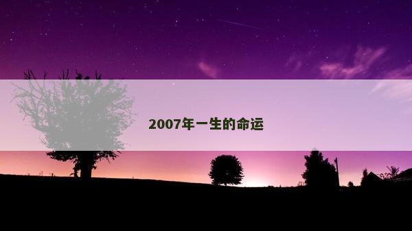 2007年一生的命运