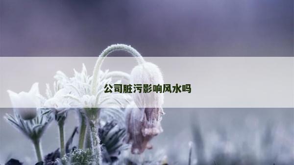 公司脏污影响风水吗