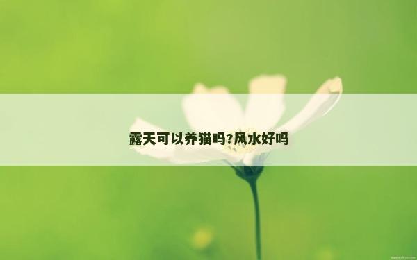 露天可以养猫吗?风水好吗