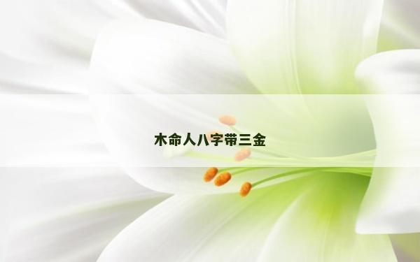 木命人八字带三金