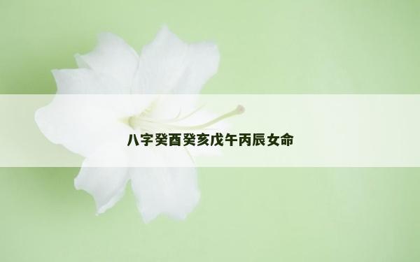 八字癸酉癸亥戊午丙辰女命