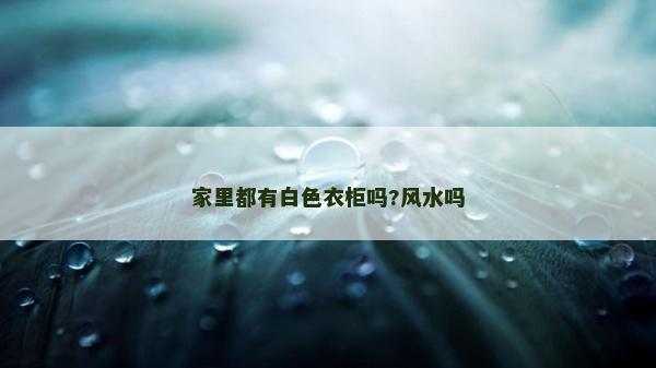 家里都有白色衣柜吗?风水吗
