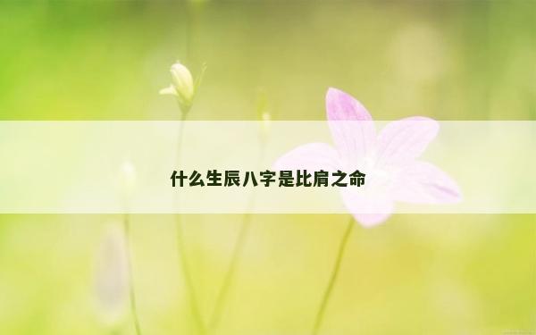 什么生辰八字是比肩之命
