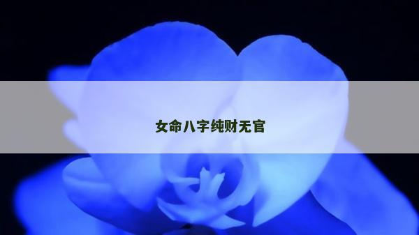 女命八字纯财无官