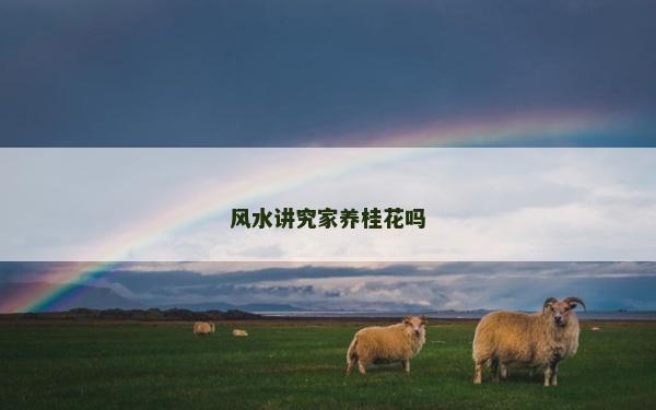 风水讲究家养桂花吗