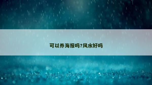可以养海报吗?风水好吗