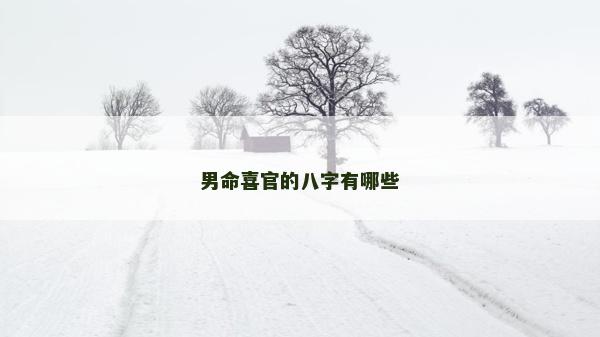 男命喜官的八字有哪些