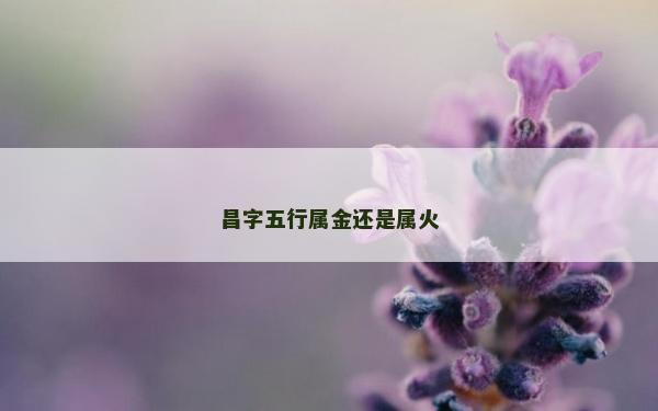 昌字五行属金还是属火