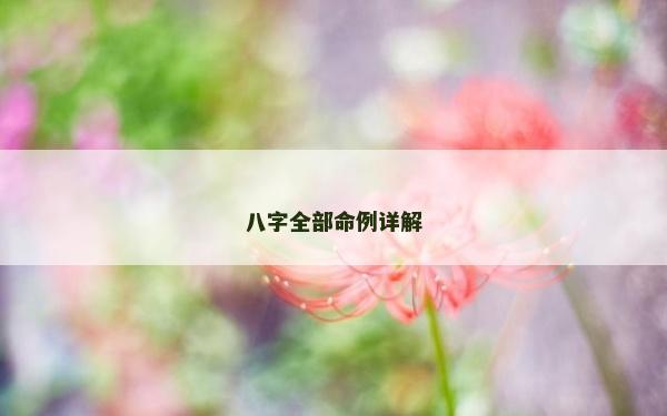 八字全部命例详解