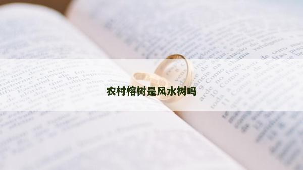 农村榕树是风水树吗