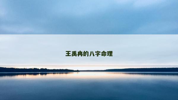 王禹冉的八字命理