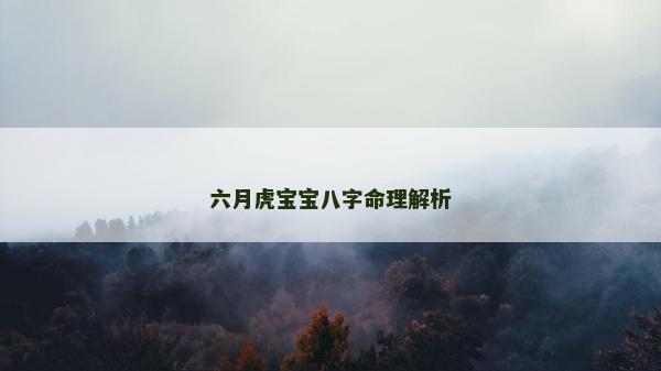 六月虎宝宝八字命理解析