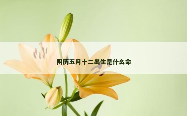 阴历五月十二出生是什么命