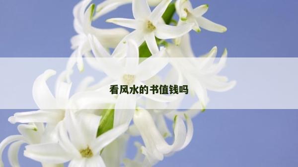看风水的书值钱吗