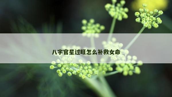 八字官星过旺怎么补救女命