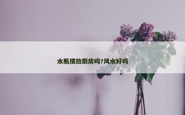 水瓶摆放厨房吗?风水好吗