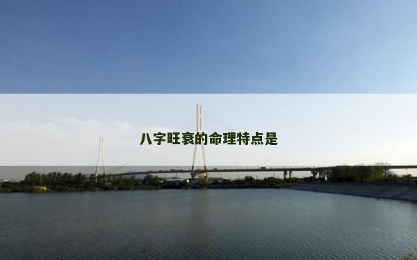八字旺衰的命理特点是