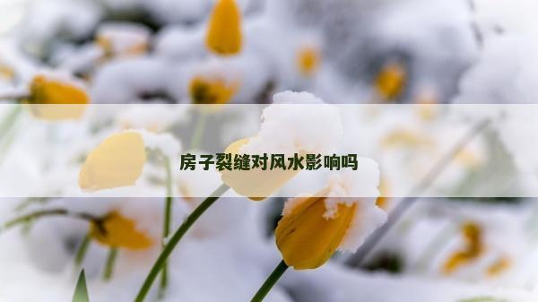 房子裂缝对风水影响吗